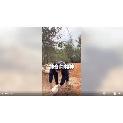 法式綜合設計案例-關閉價格呈現