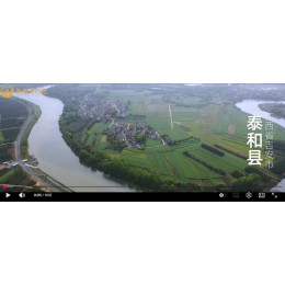 江西寻药 泰和乌鸡 乌鸡白凤丸主药